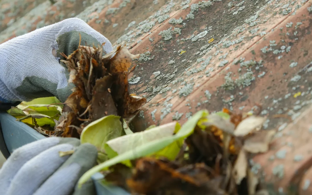 Gutter Cleaning Tips for Safely Removing Ice Buildup in Winter