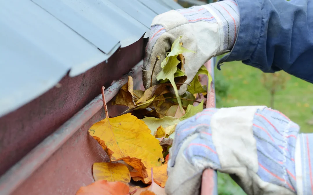 How Do I Know If My Gutters Are Full?