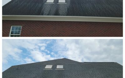 Don’t Wait for Fall: Why Roof Cleaning in August Prevents Big Problems