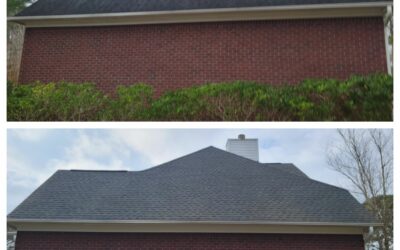 Expert Roof Cleaning Services in Summerville, SC by Soft Wash Pros: Elevate the Look and Longevity of Your Home