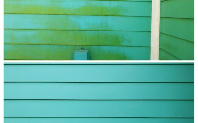 Blog 4 DIY Power Washing vs. Hiring Professionals: Making the Right Choice for Your Home