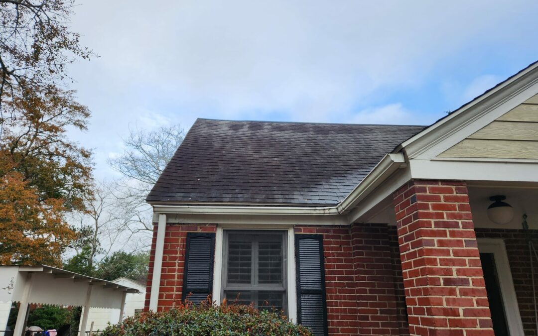 Best Roof Cleaning in Charleston, SC