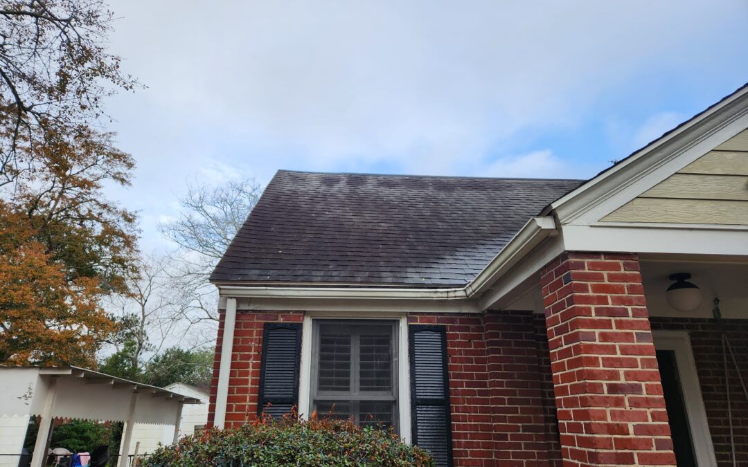 Best Roof Cleaning in Ridgeville, SC