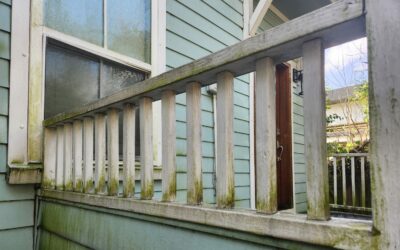 Experience Unparalleled Pressure Washing Services in Summerville, SC with Soft Wash Pros