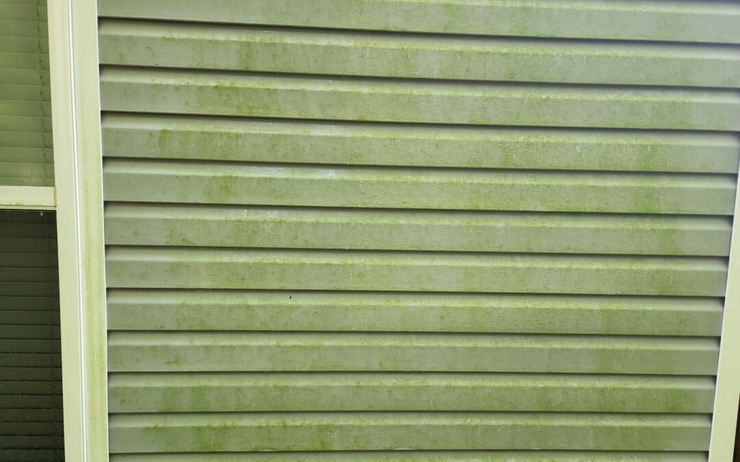 How Do I Remove Green Algae From My House Siding?