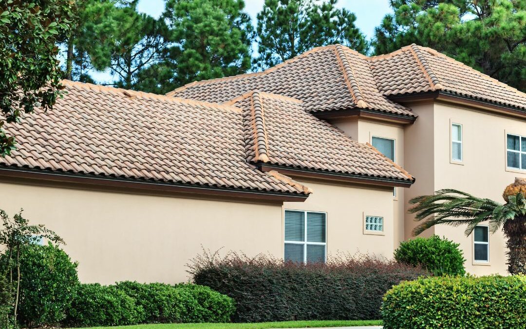 Best Roof Cleaning in Pinopolis, SC