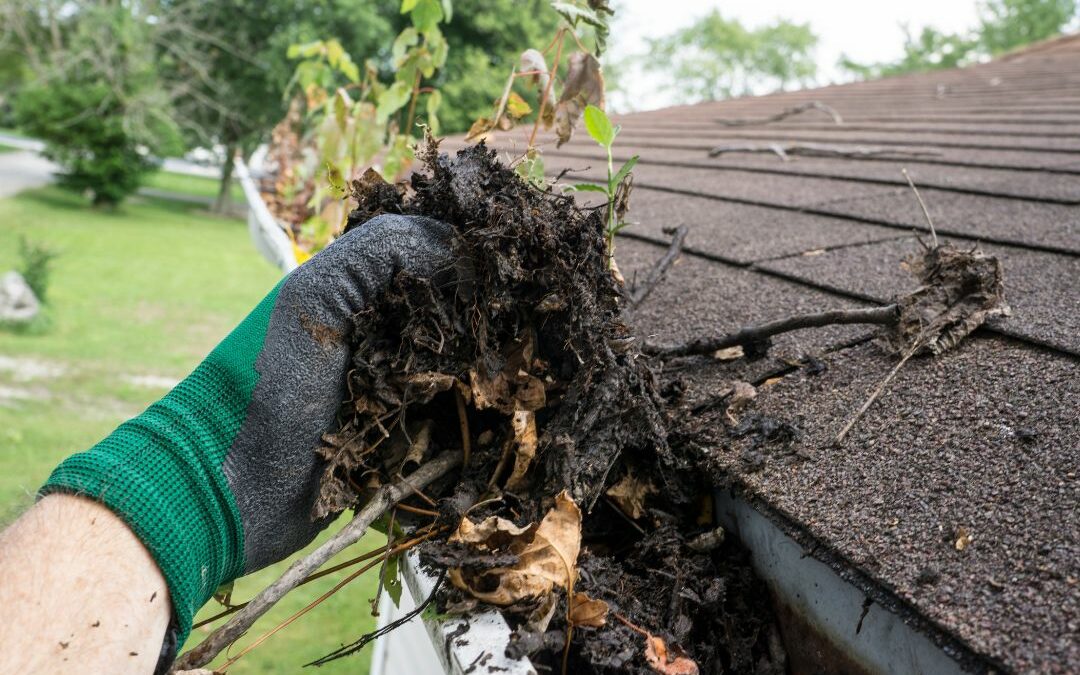 What Can Clogged Gutters Do to Your Home?