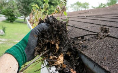 What Can Clogged Gutters Do to Your Home?