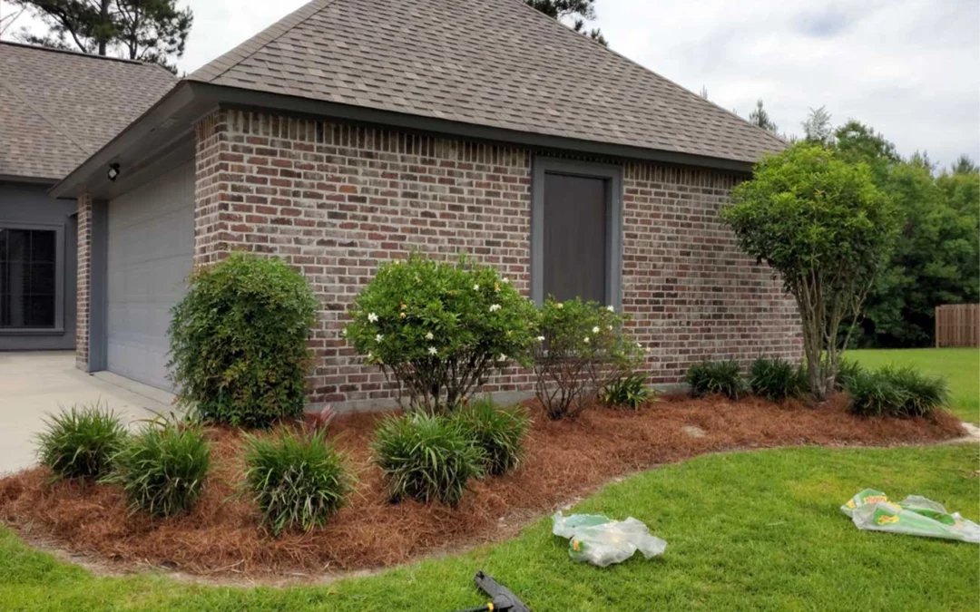 Best Roof Cleaning in Lincolnville, SC